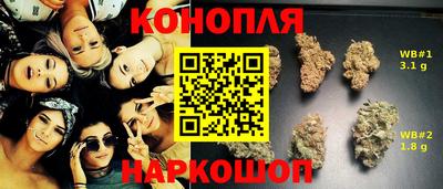 ешки Будённовск