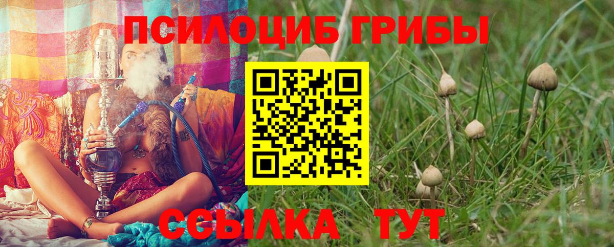 Галлюциногенные грибы Magic Shrooms Кубинка