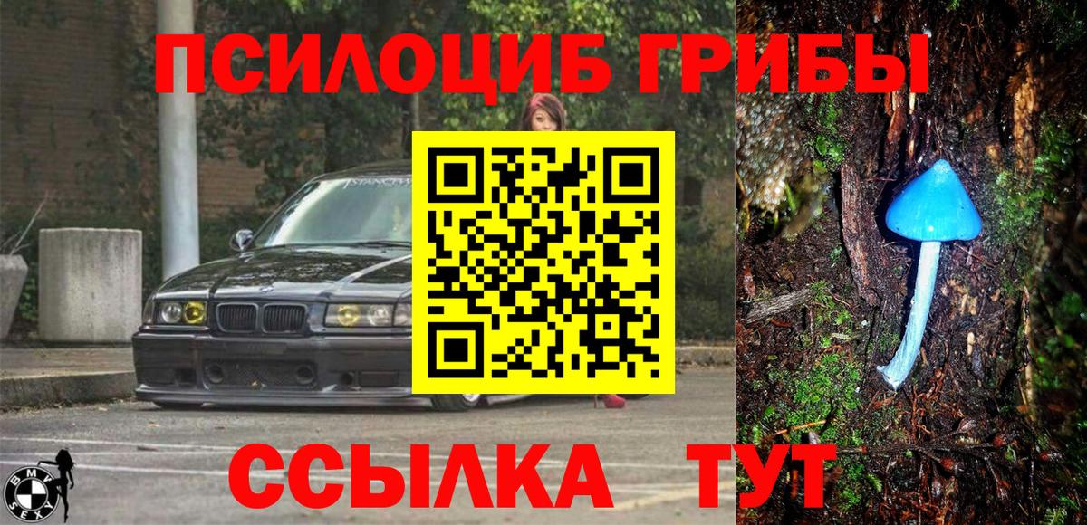 Галлюциногенные грибы Psilocybe  Псилоцибиновые грибы прущие грибы  Кубинка  Вход с VPN 